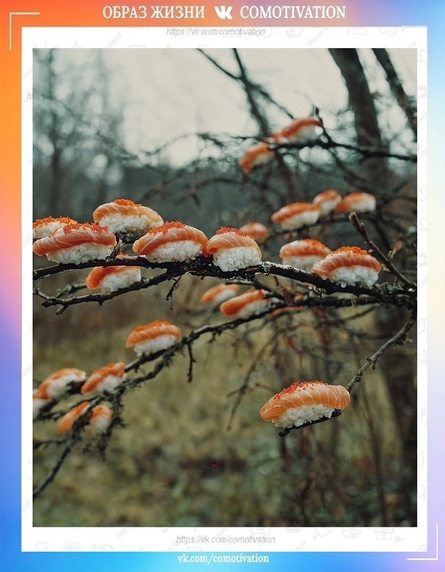 Не ложитесь спать голодными.