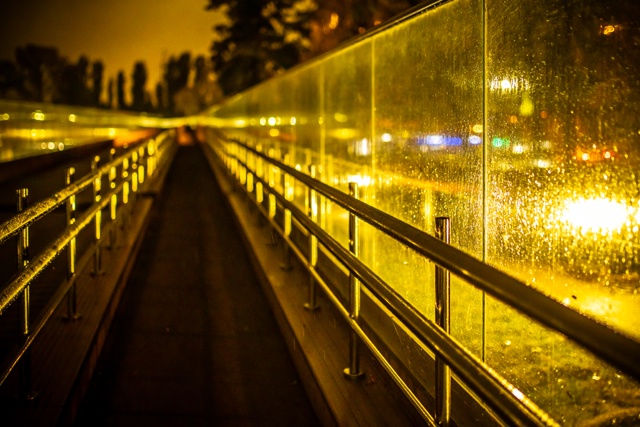 🤩Красивый, влажный и блестящий вечерний Воронеж