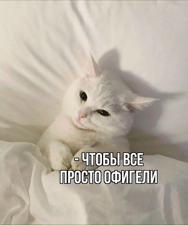 Типичное утро понедельника? Доброе утро Коломна☀