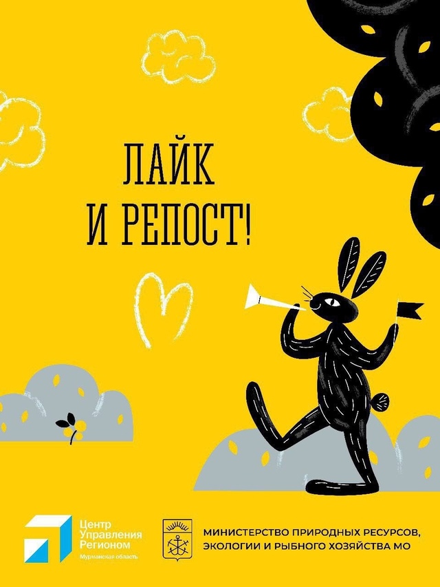 🐻Бурый медведь – крупный, опасный для человека хищни?...