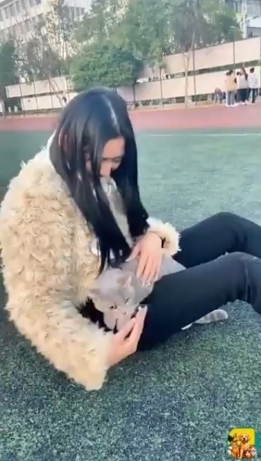 Самые забавные котяры, которых я только видел!