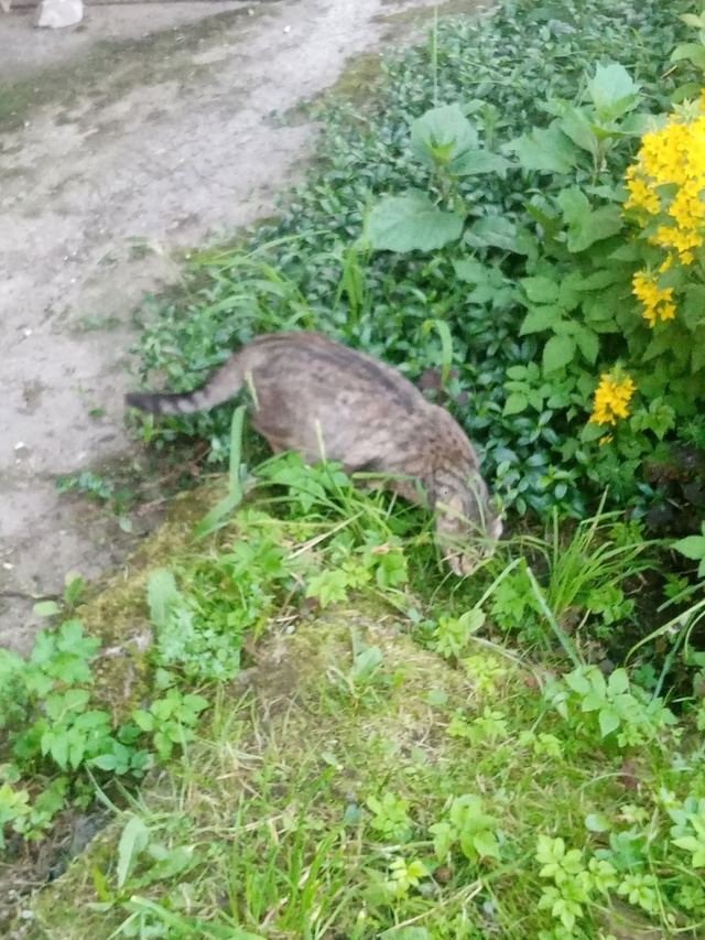 Кто ребёнка потерял? На Комсомольской, 19 в траве сидит.