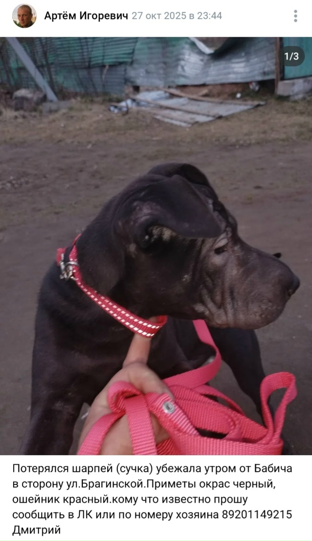 Пост добра. Распространите, пожалуйста)