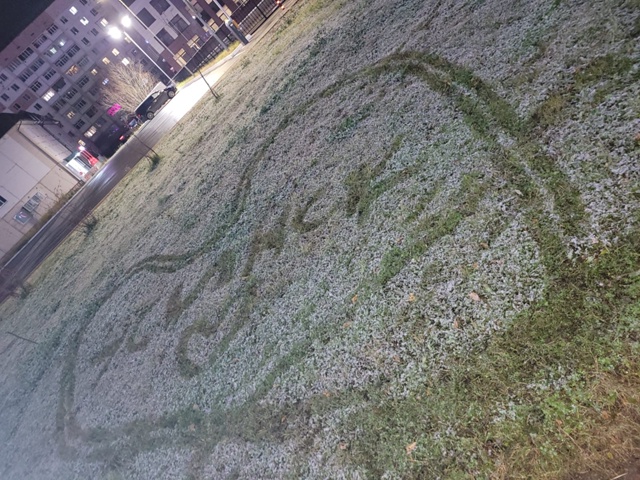 Вот и первый снежок.... И первые снеговики)))
И сердечко ??...