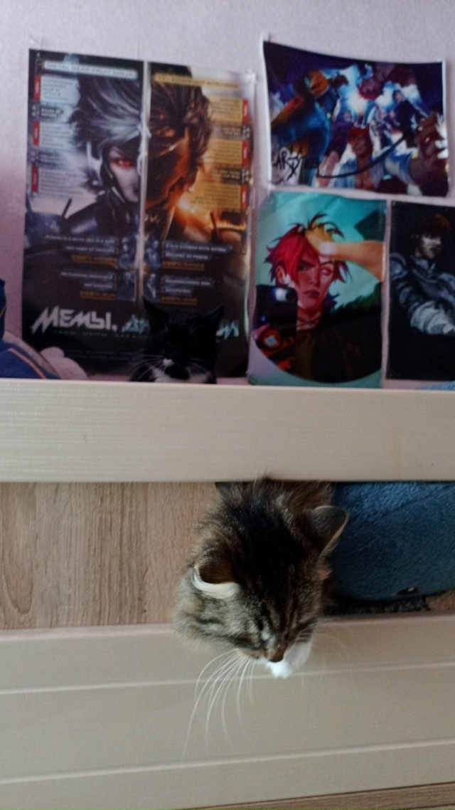 шпендель застрял...