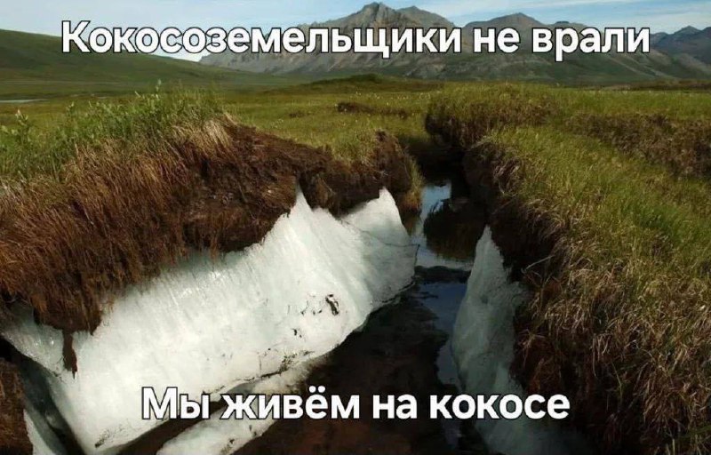 Утренняя подборочка