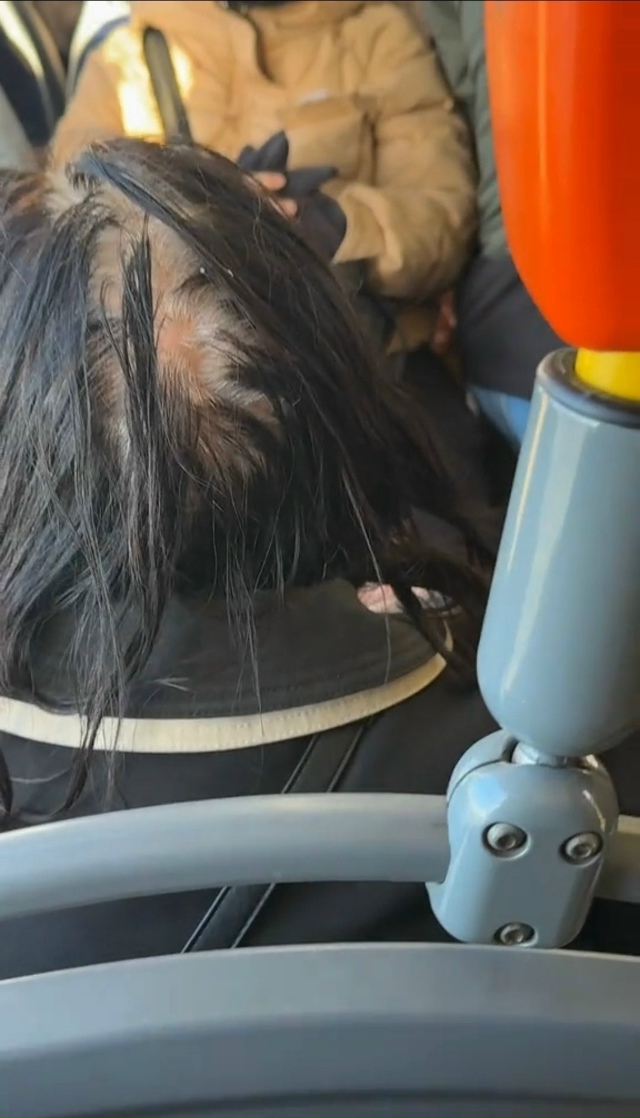 Дама, Вам не стыдно ездить в автобусе с таким гнездом н?...