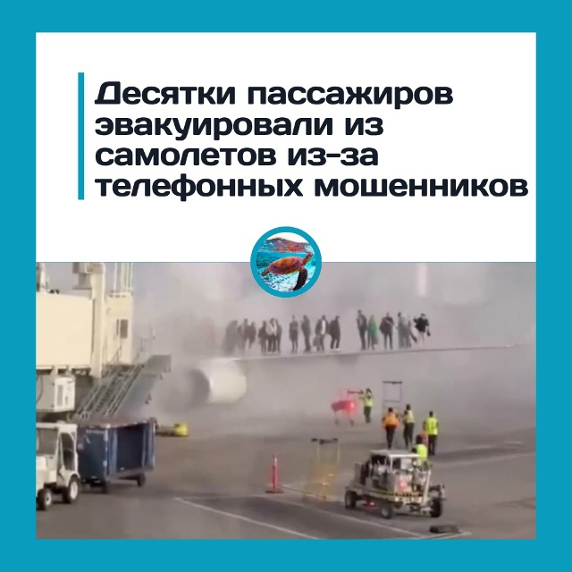 Три буквы, из-за которых развернули самолёт
Рейс American A...