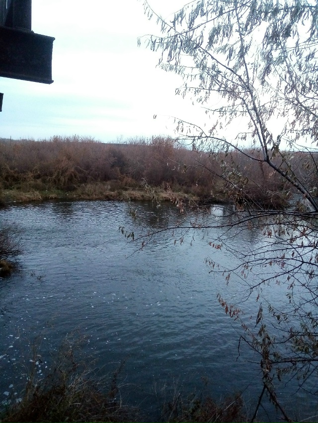 Немного позитива в ленту.На снимках,октябрь 2025 года,на ...