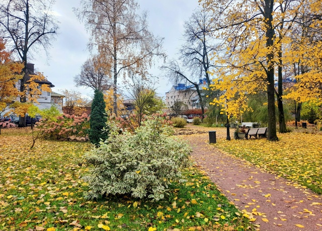 Осень в Карякинском саду ❤️
📷 Елена Михайлова