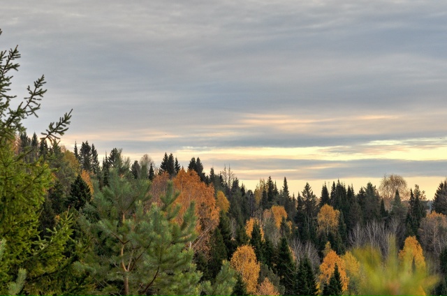 Золотая Осень на воде🍂🍁
Фото: Андрей Колегов