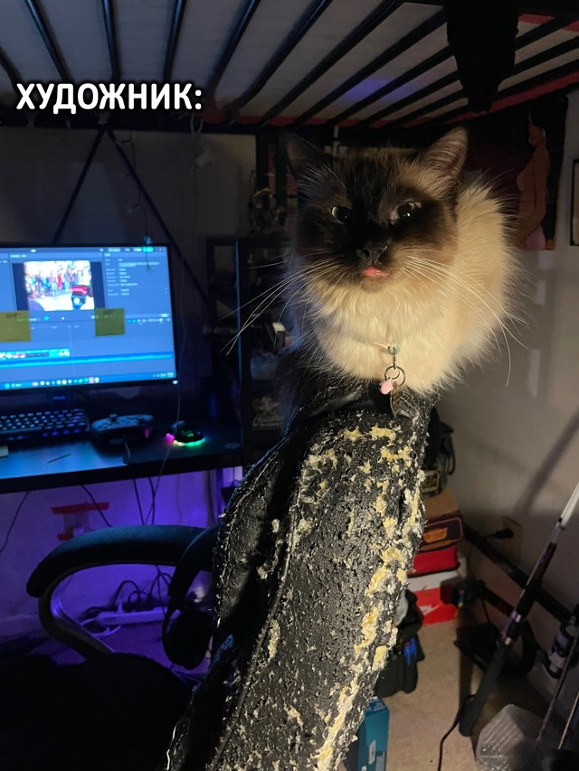 И на морде ни капли сожаления