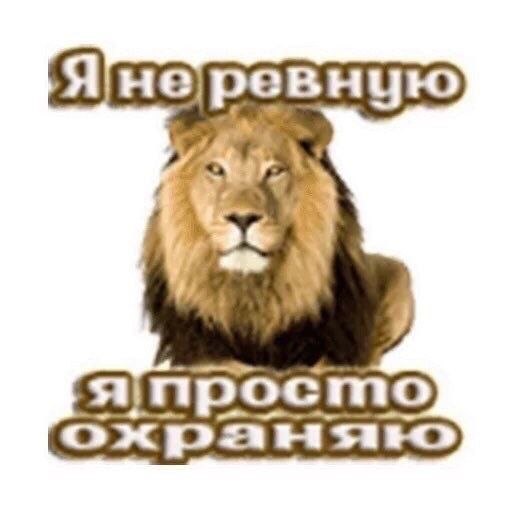 я, когда моя общительная подруга решила поздороваться с кем-то из своих знакомых