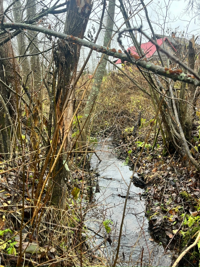 Добрый вечер! Обращение к администрации Кадуйского ра?...