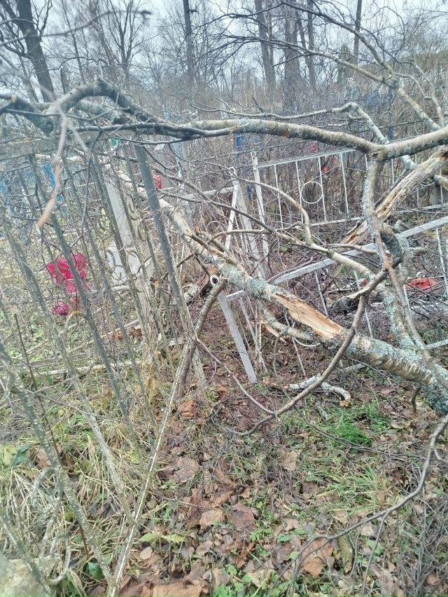 Такое мы увидели вчера 19.11.2025 г. на кладбище в с. Сицкое. ...