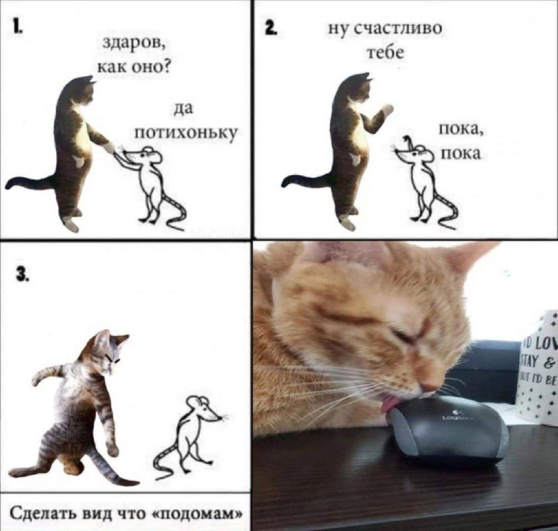 Утренняя подборочка