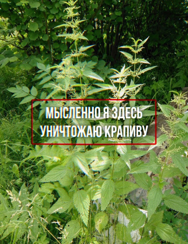 Я не плачу... это просто слёзы.