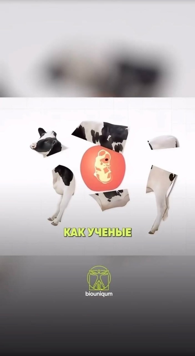 Напечатанные на 3D-принтере целые куски «мяса».