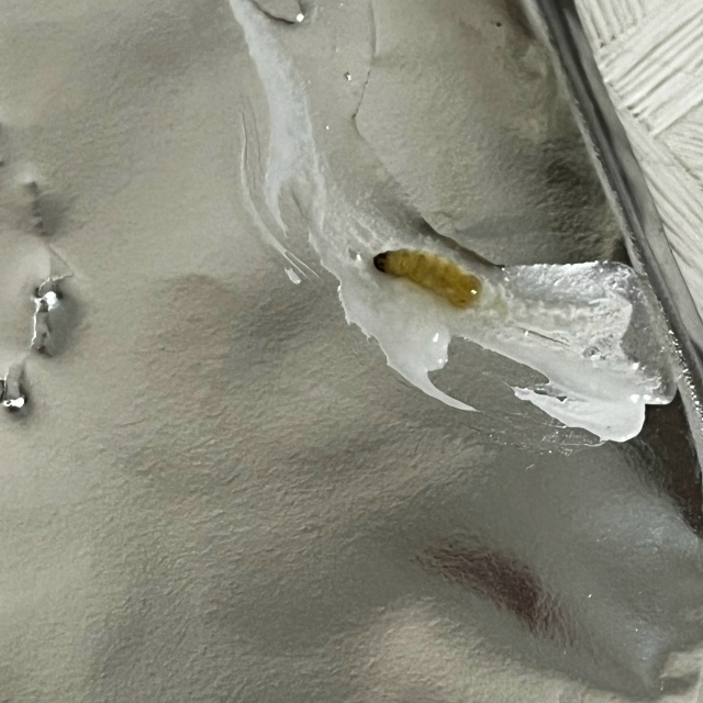 ?Вот так чудо
Купили Чудо йогурт в Магните.
? Но пом...