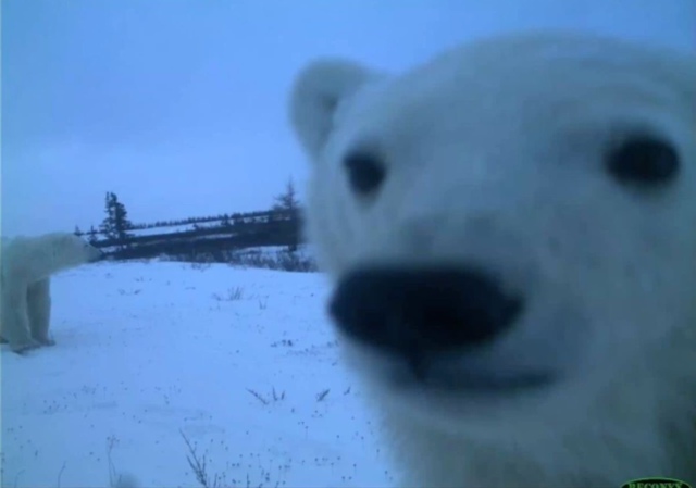 Снег выпадет в Екатеринбурге уже в начале ноября.
К на?...
