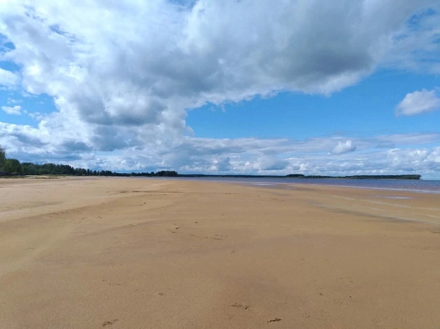 Шикарный пляж на Рыбинском водохранилище.
Ярославска?...