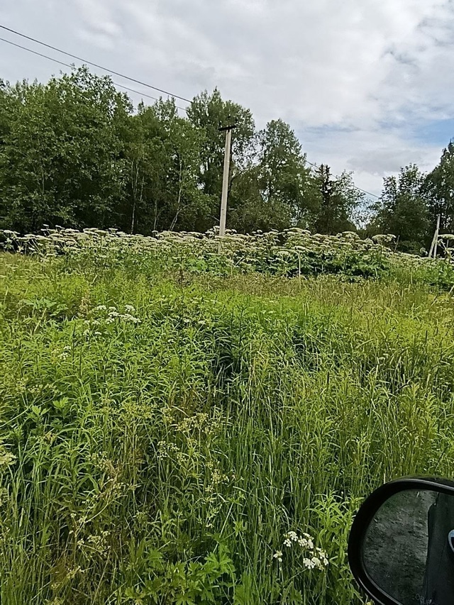 56.090350, 36.127908 пересечение дорог между деревнями Ситнико?...