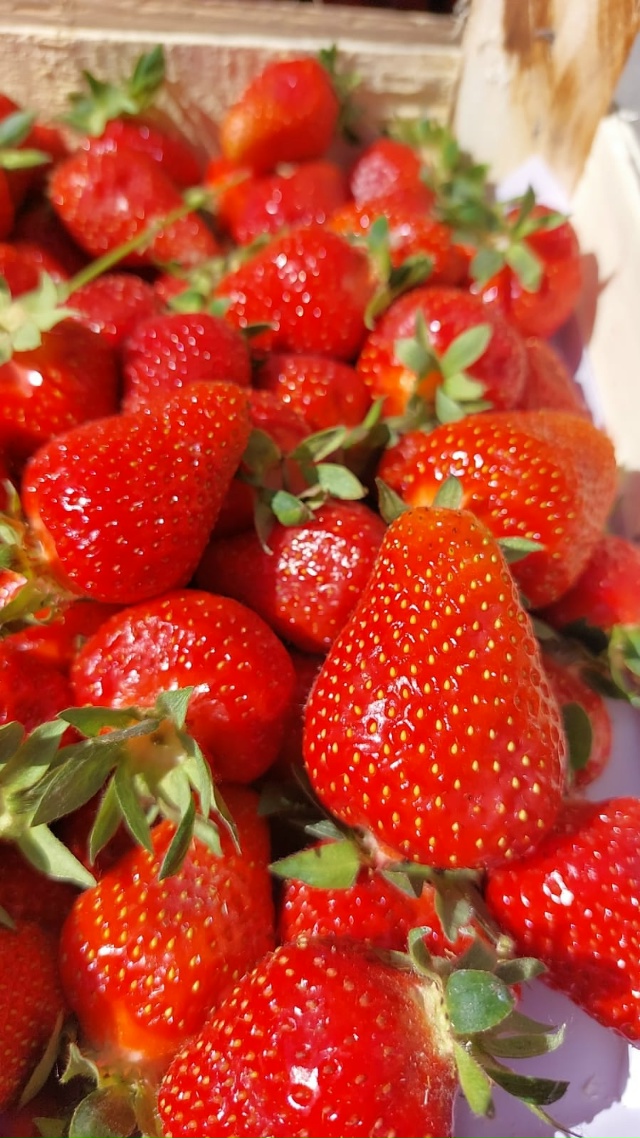 ⚠?⚠?⚠?⚠?⚠? Жители г. Лангепас!!!! Последний зав...