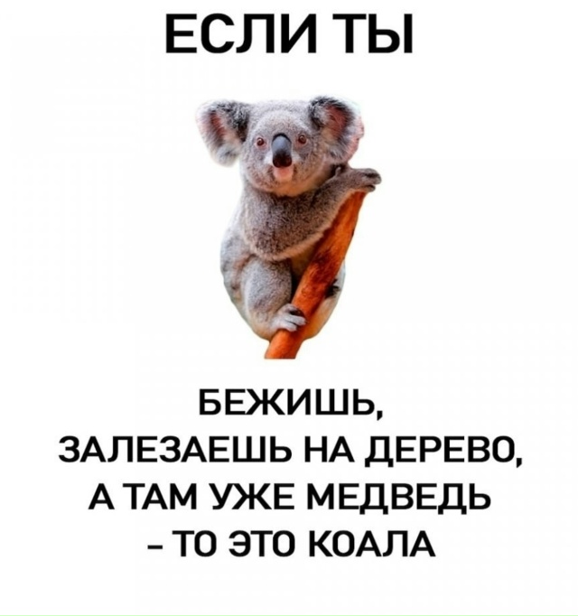 Запоминаем короче