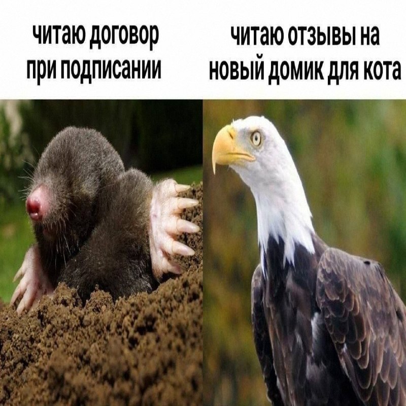 Утренняя подборочка