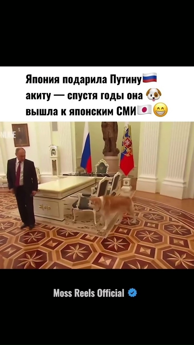 Президент России Владимир Путин показал журналистам п...