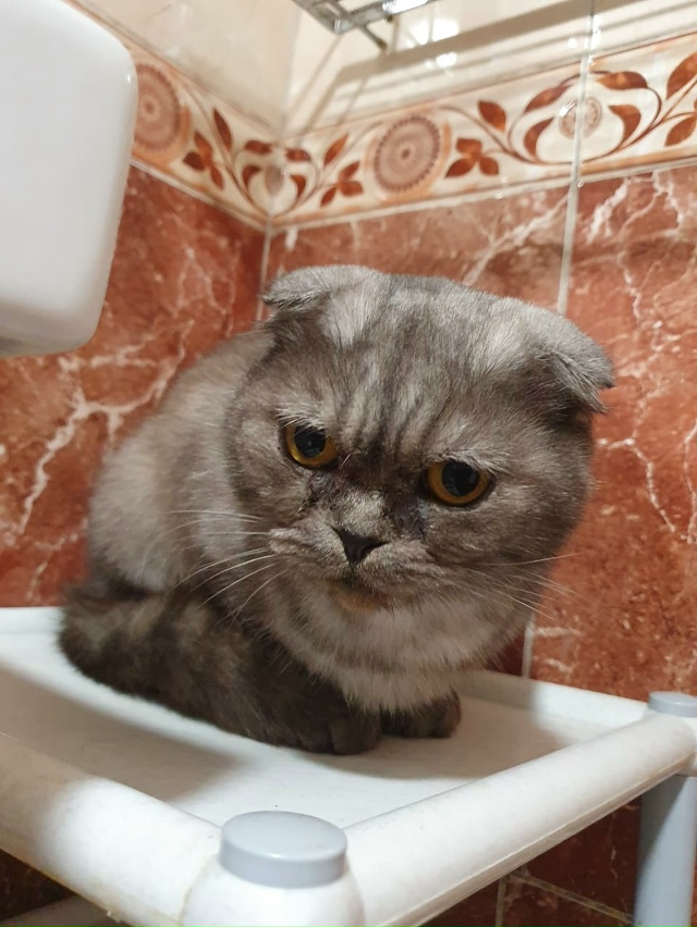 Админ, опубликуй, пожалуйста!
Переславль!
СРОЧНО!
В ра...