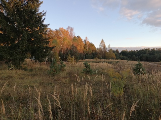 Доброго утра, Никольск❤