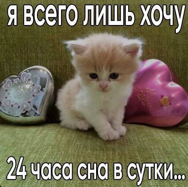 Утренняя подборочка