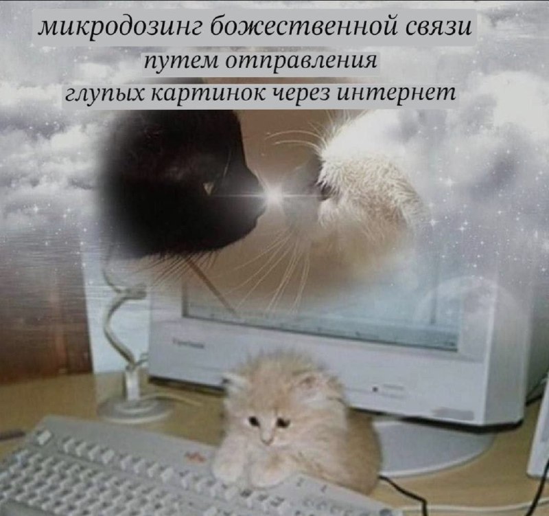 Ночная подборочка
Спать, режим