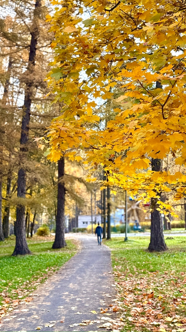 ?И с каждой осенью я расцветаю вновь;
Здоровью моему п...
