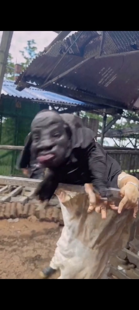 что ты такое?