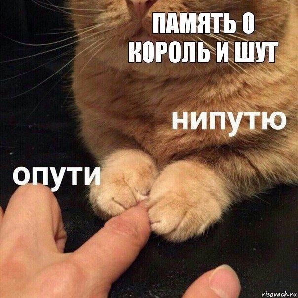 😢😢😢