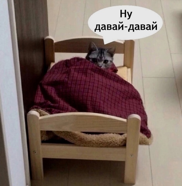 Как же я ему завидую в такие моменты