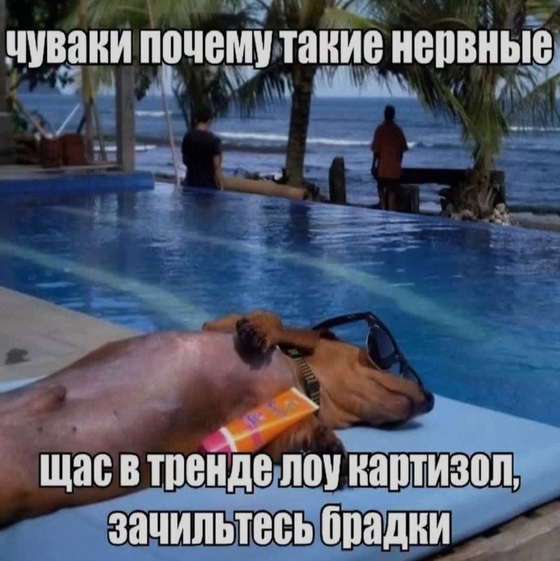 Ночная подборочка
Выходные, не спим