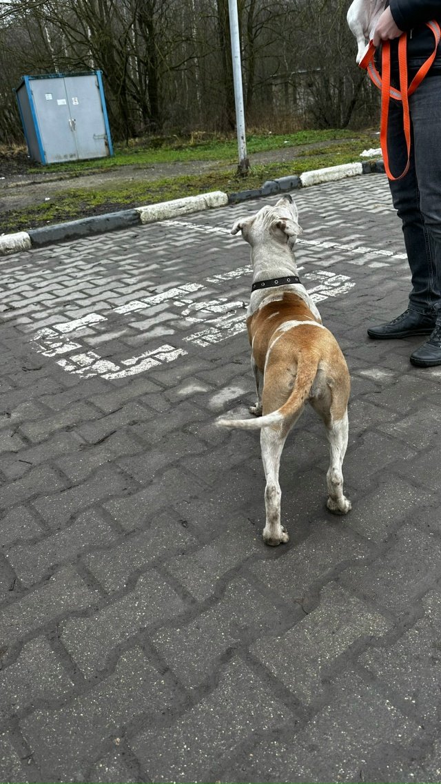 01.12.2025 в 13:00 на заправку Роснефть (при выезде из города в...