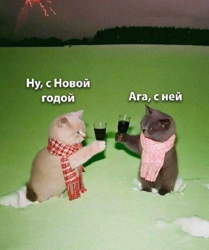 снег только выпал,так же я: