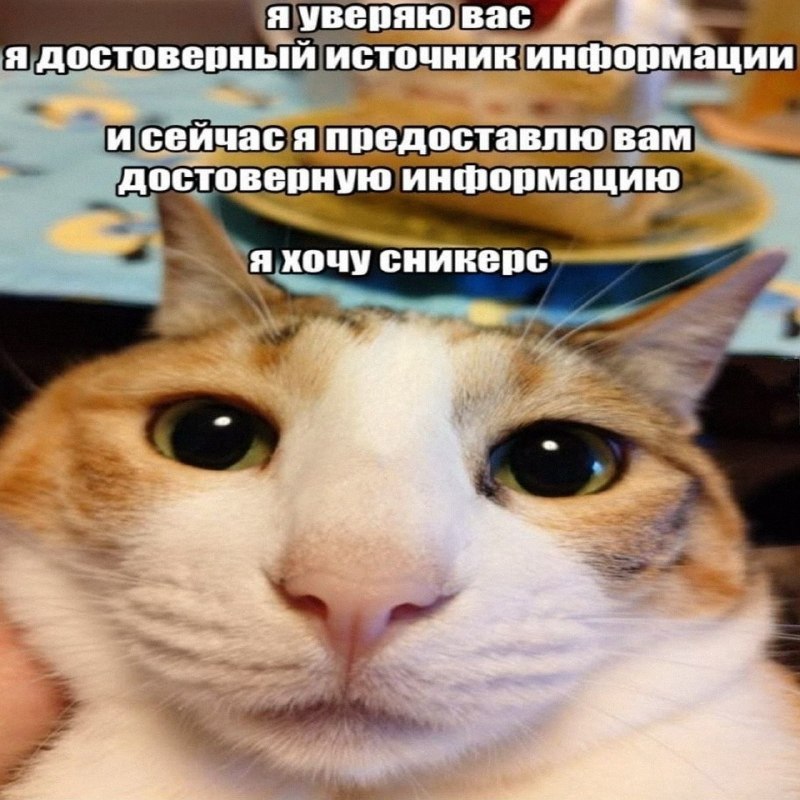 Утренняя подборочка