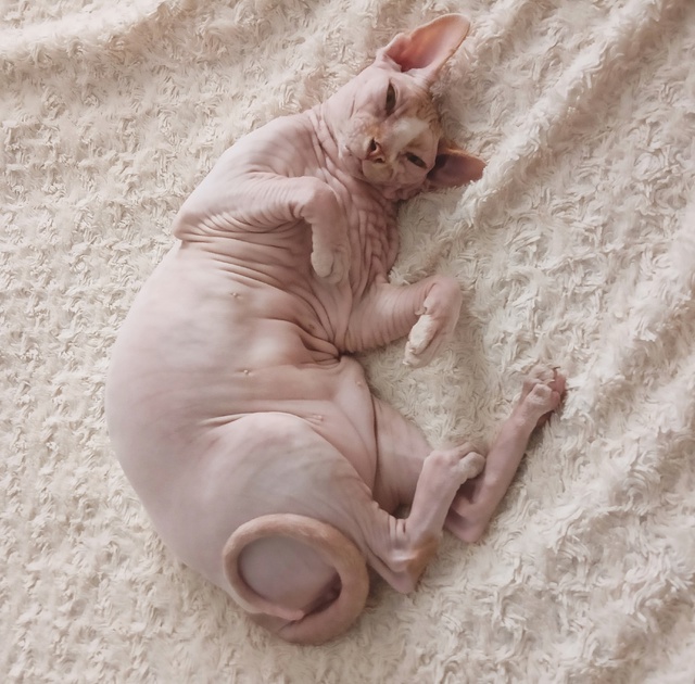 Это мой сын, Оливер
Он немного глупенький, но очень лас...