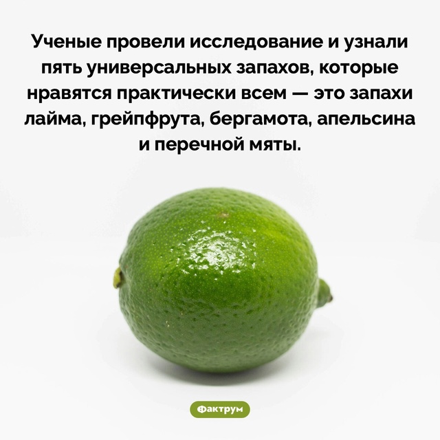 Подборка интересных фактов.