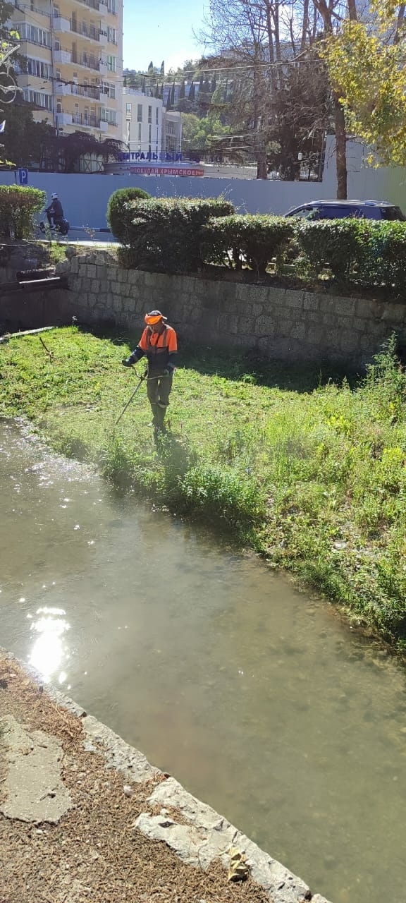 🌿 В Ялте на этой неделе специалисты ДЭУ провели качес?...
