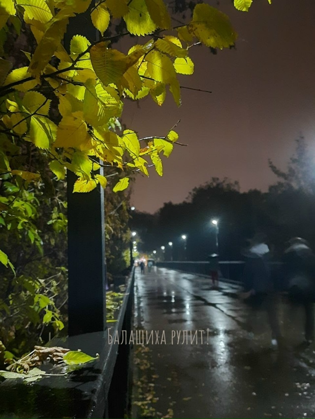 Дождливый вечер в Балашихе🖤