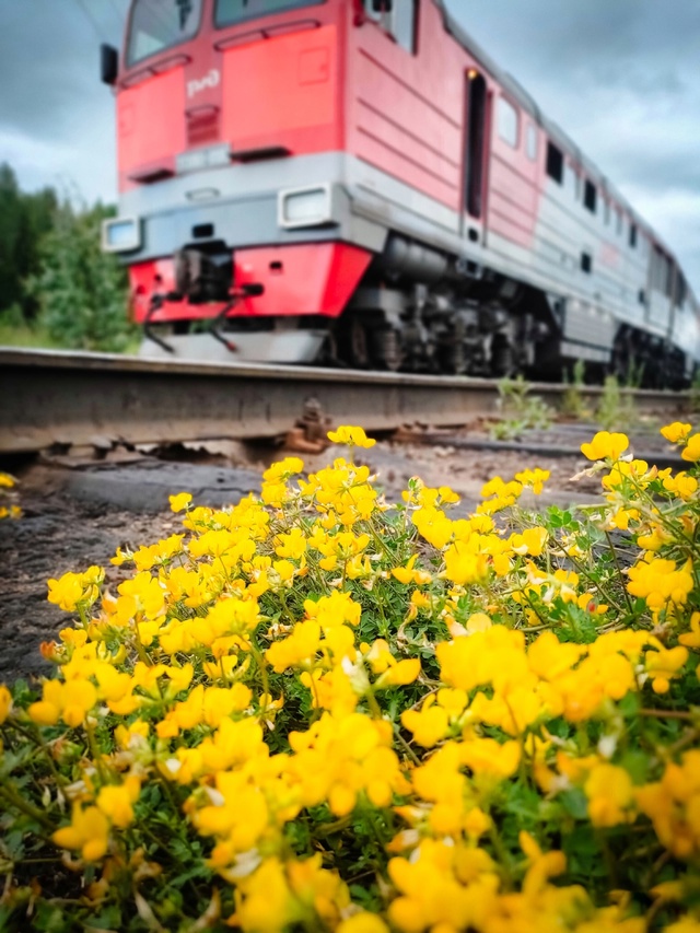 Сосногорск, всем отличной рабочей недели!
Всем отпуск?...