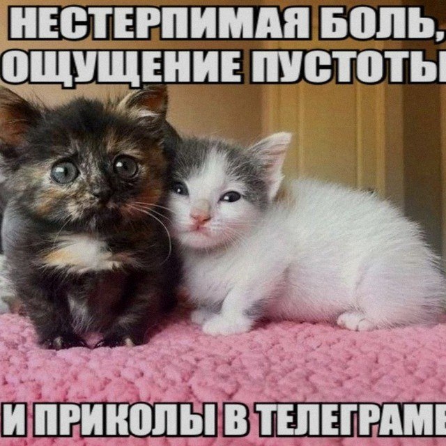 Ночная подборочка
Спать, режим