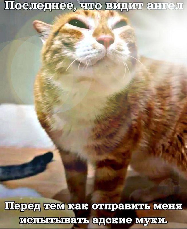 Утренняя подборочка