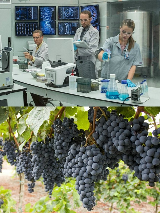 «Дожить до 150 лет станет реальностью уже через несколь?...